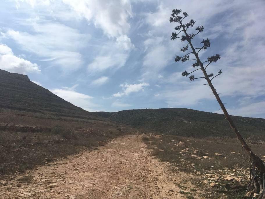 Cortijo Los Garridos - 8 Huespedes Fernan Perez المظهر الخارجي الصورة