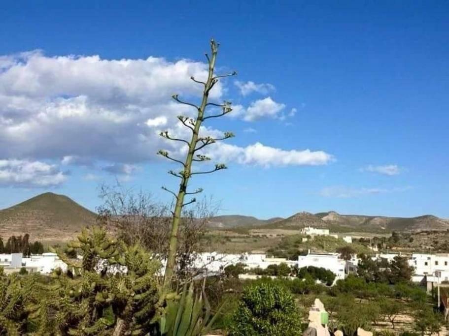 Cortijo Los Garridos - 8 Huespedes Fernan Perez المظهر الخارجي الصورة